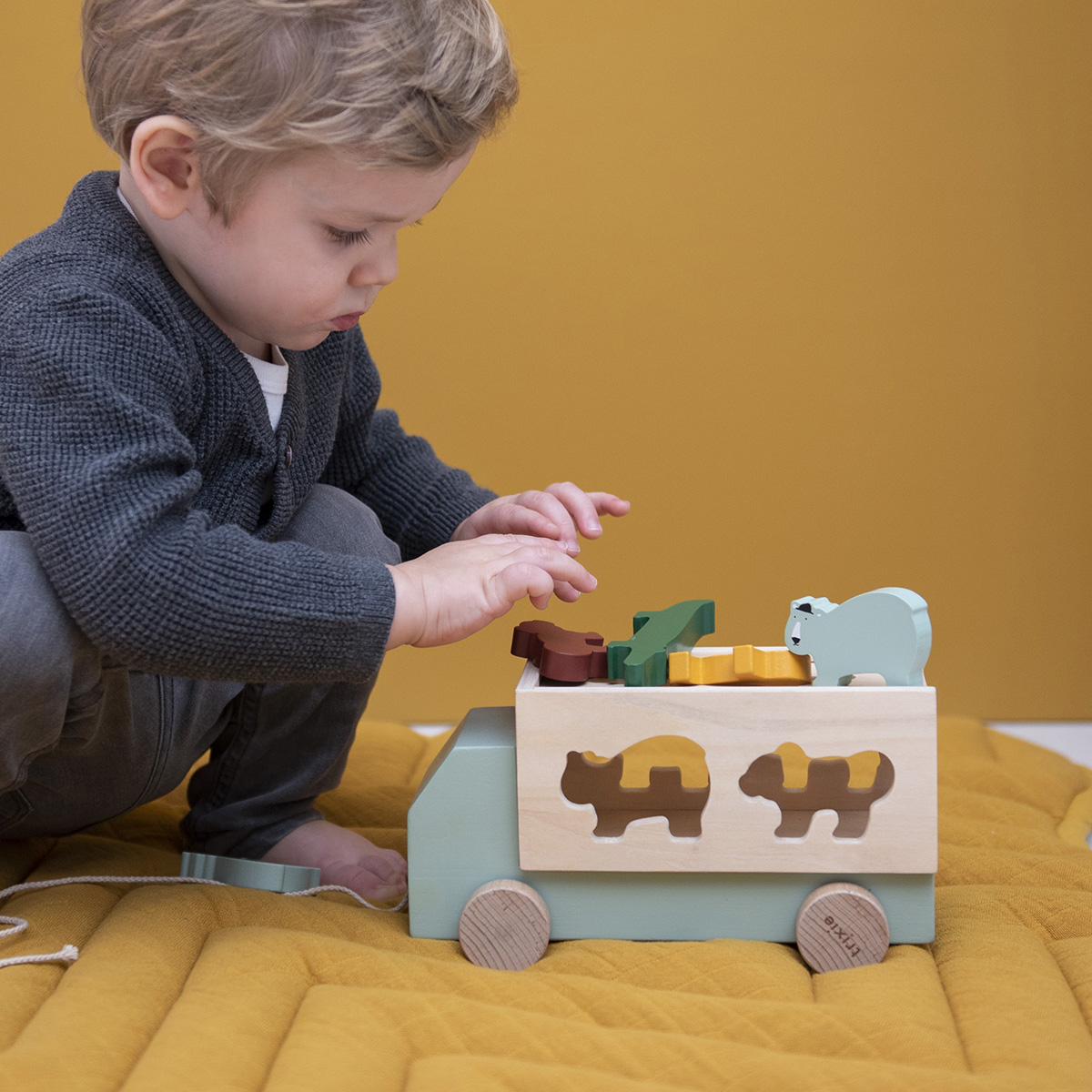 Camion boîte à forme animaux en bois